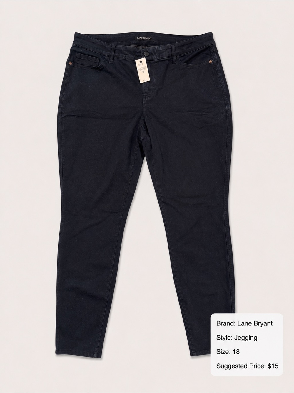 Lane Bryant Black Stretch Jeggings